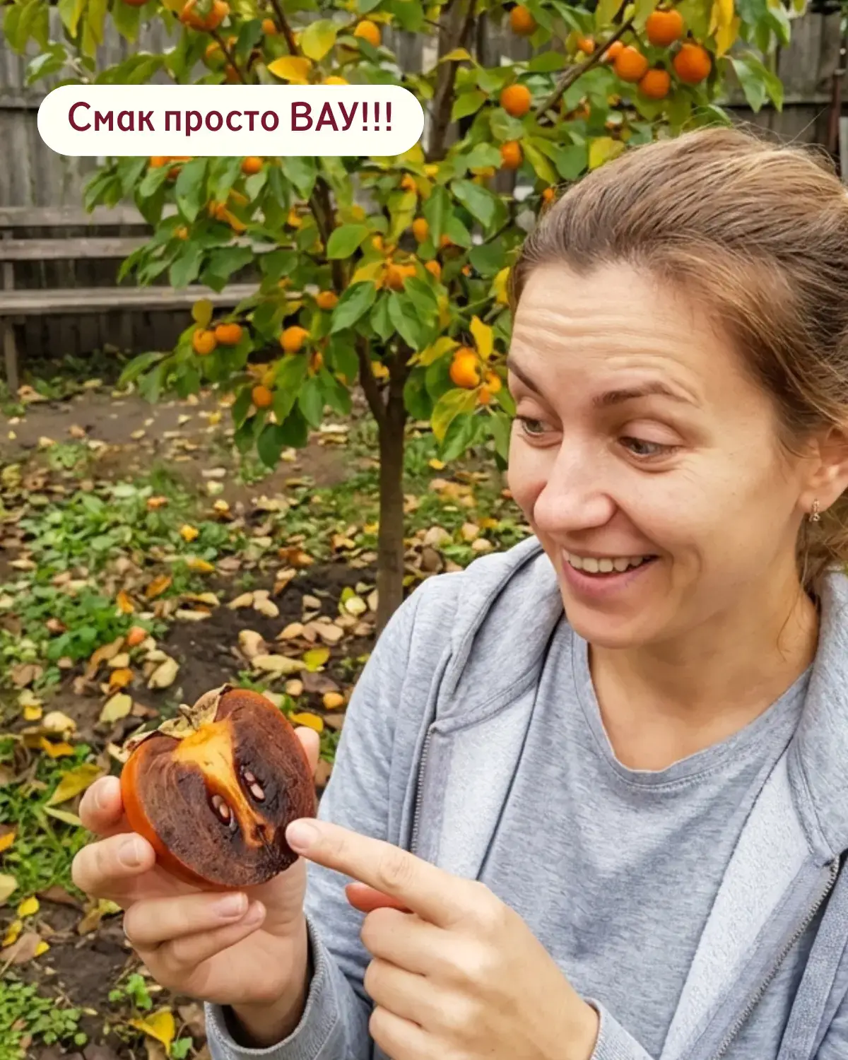 Розріз шоколадної хурми